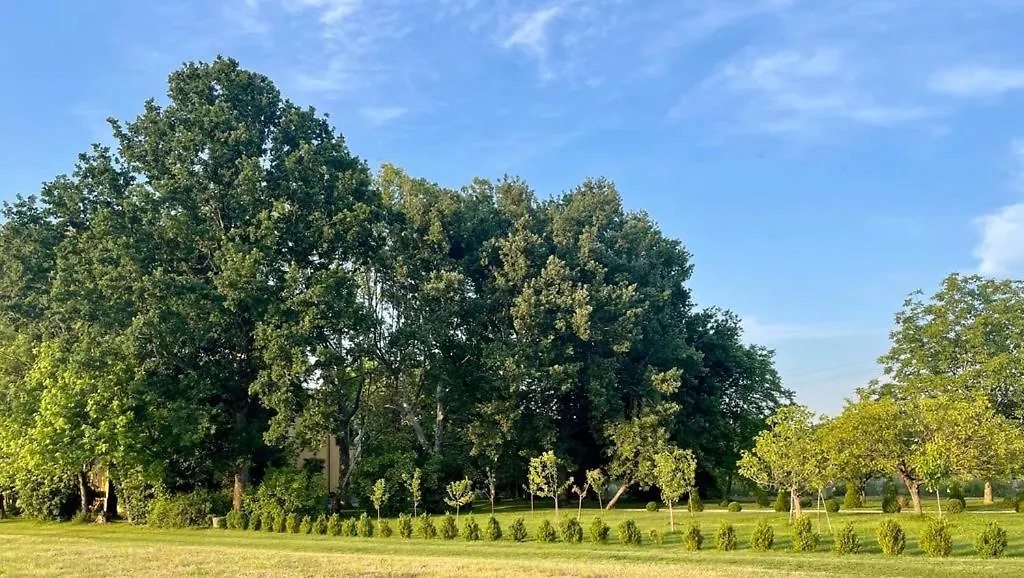 Villa Leopardi Vignale  Bed & Breakfast